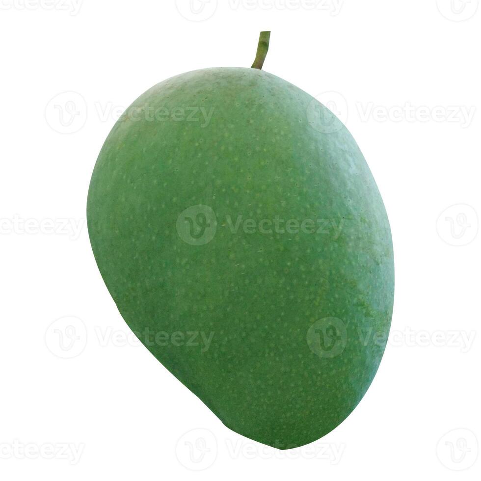 Mango Fruit Stock Photo