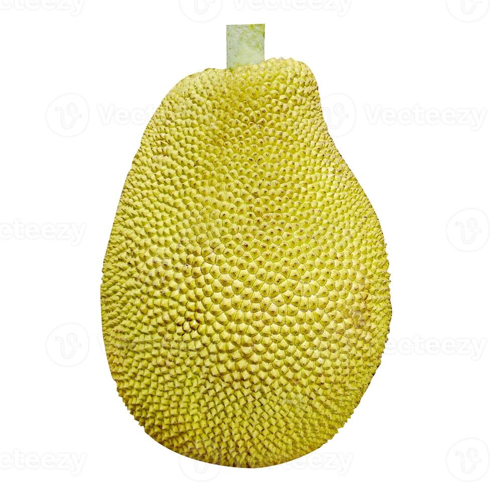 Jackfruit isolated on white background photo