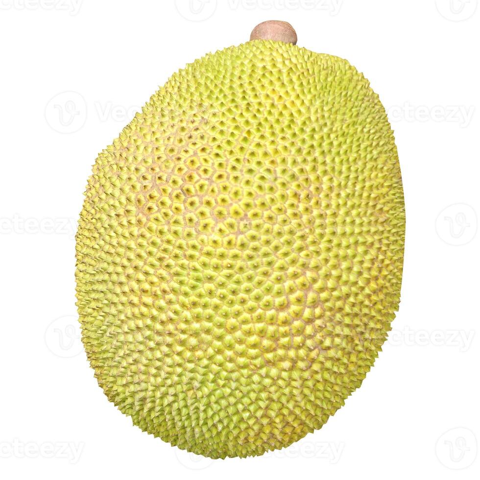 yellow jackfruit on white background photo