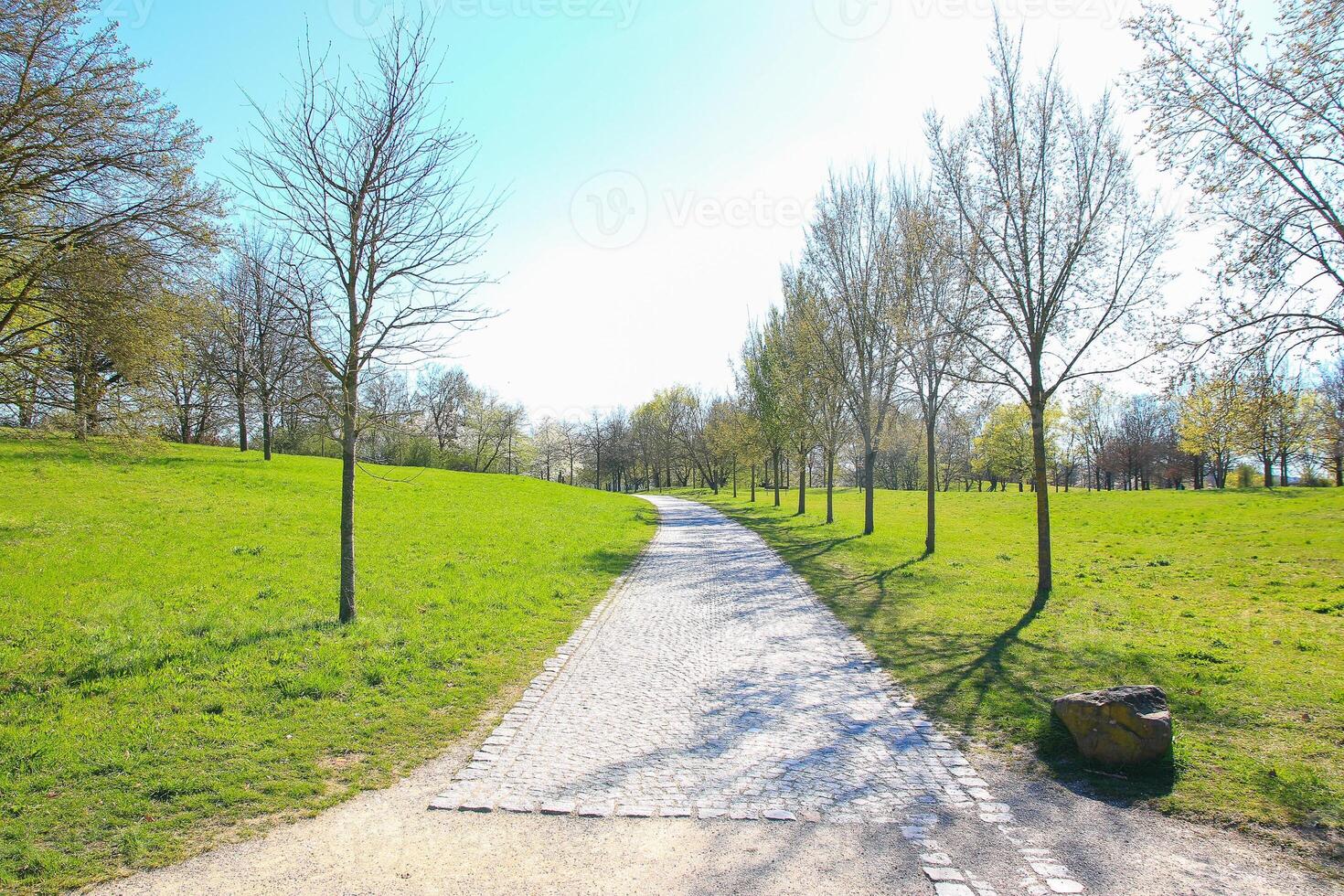 Spring Day in the Park with Grass and Trees photo