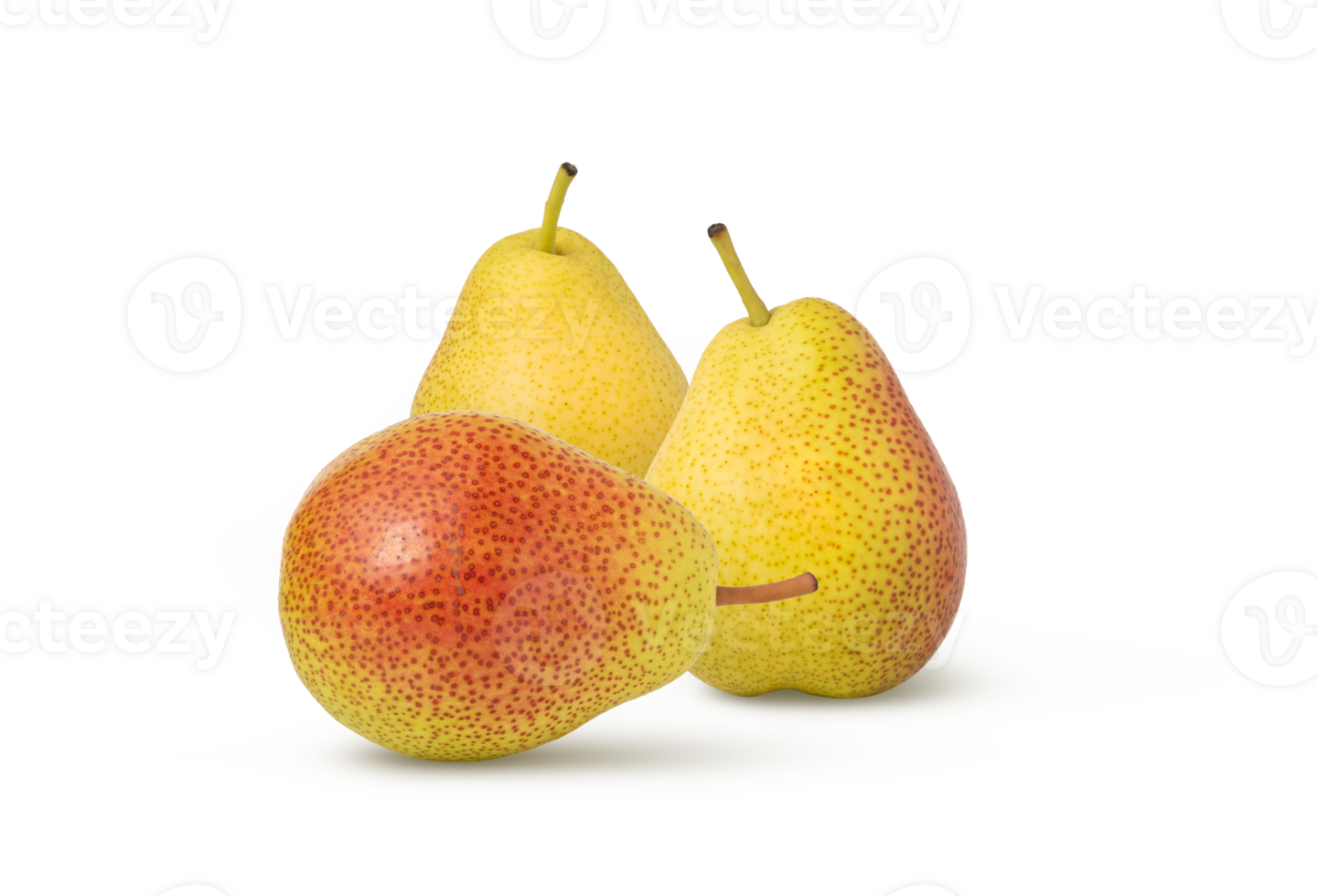 Yellow and red pears isolated. Group of isolated pear fruits. png