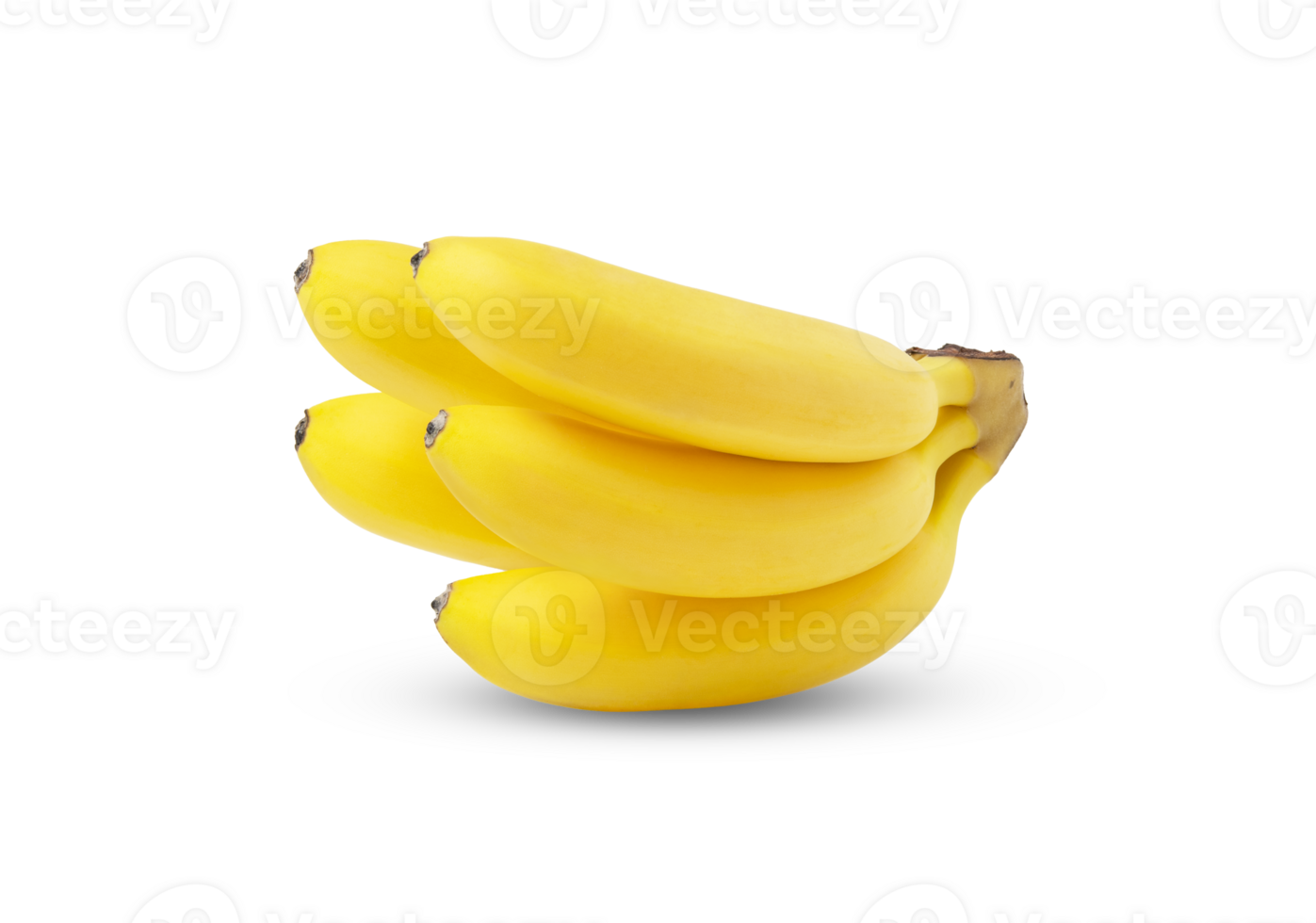 Ripe baby banana isolated with shadow. png