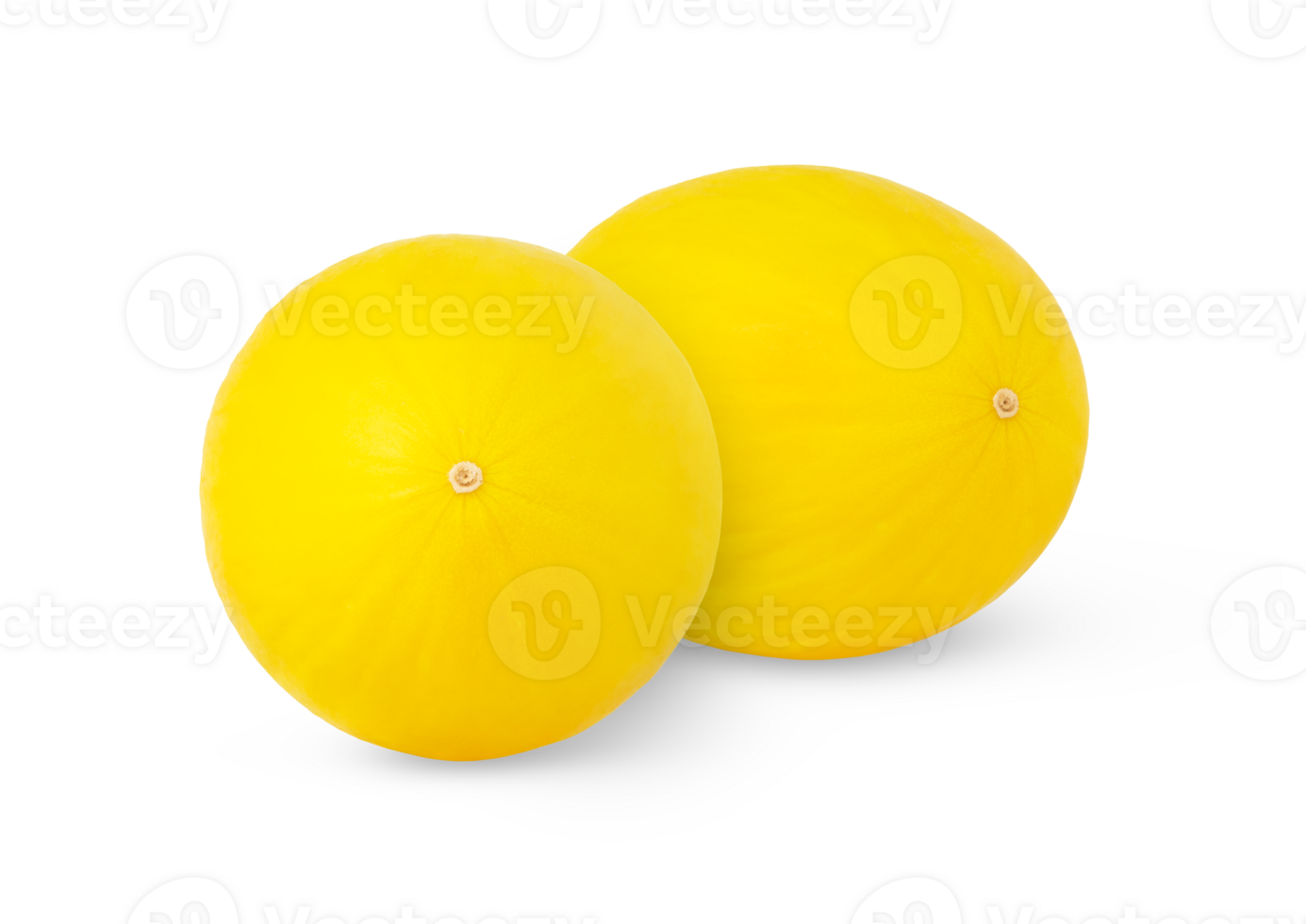 Two ripe yellow honeydew melons isolated. Honey melon with shadow. png