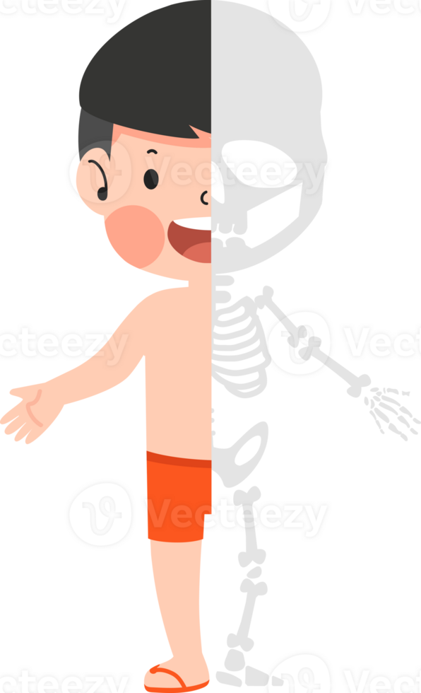 A boy with a skeleton on his arm png