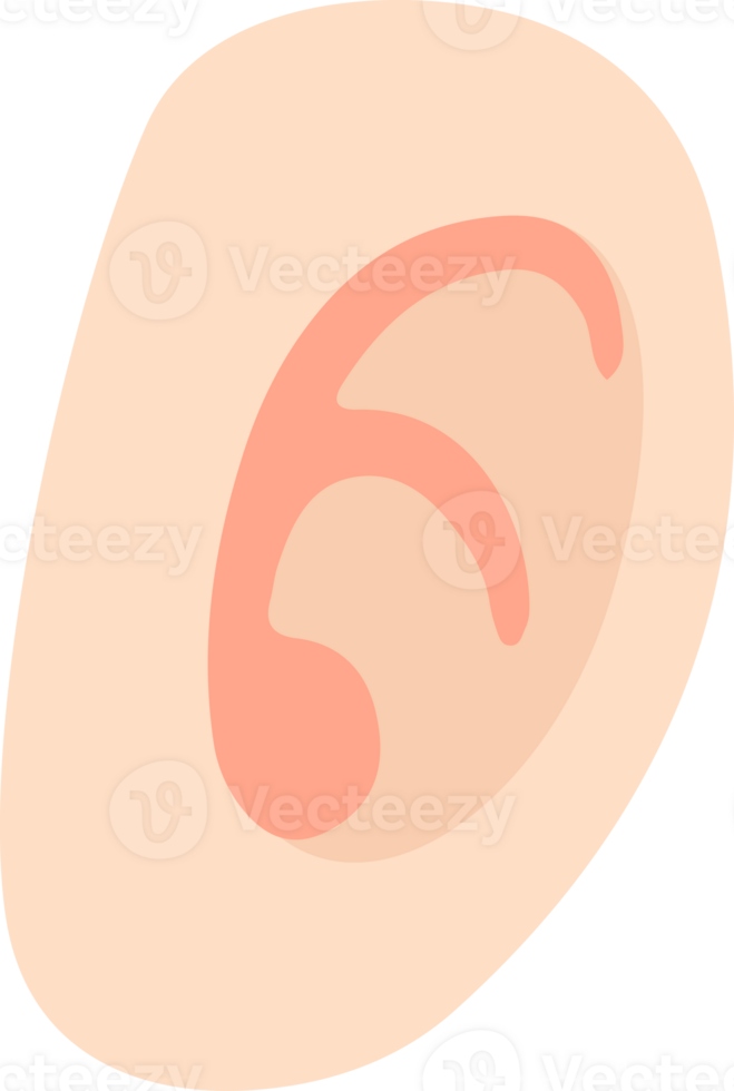 An ear with a pink tip on it png