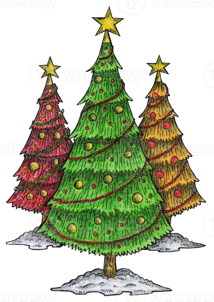 hand drawn illustration of three christmas trees png