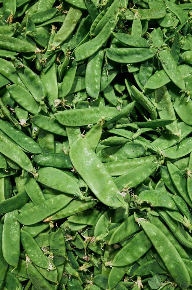 Bunch of green peas are piled on top of each other photo
