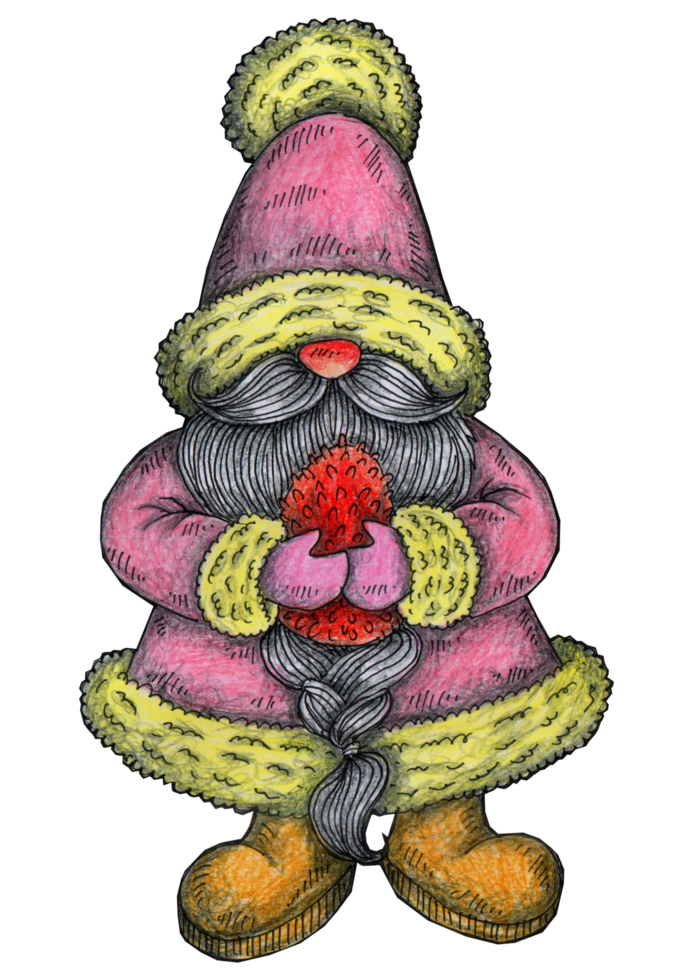 hand drawn christmas gnome hugging pine cone illustration png