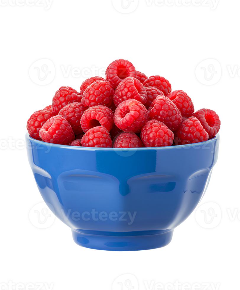 Bright red raspberries in motion falling into stylish ceramic bowl isolated for vegan food themes and summer fruit advertising. Isolated raspberries dropping into blue bowl for wellness content png
