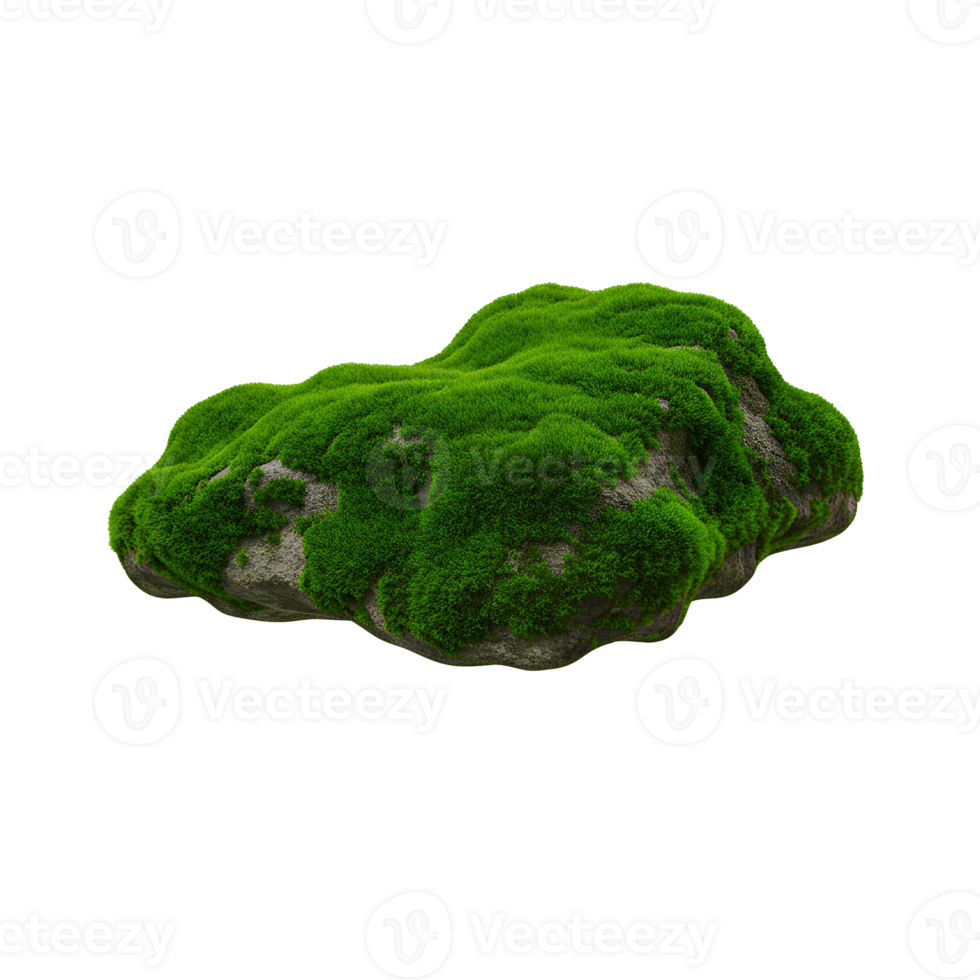 Moss-covered rock isolated on transparent background for nature design, forest floor visuals, and organic texture graphics. Green mossy rock isolated for landscape png
