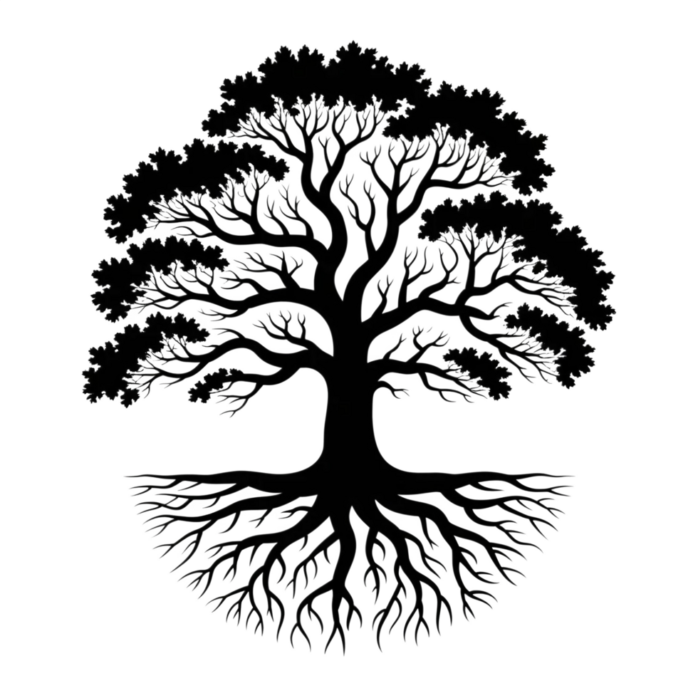 an intricate network of exposed roots png
