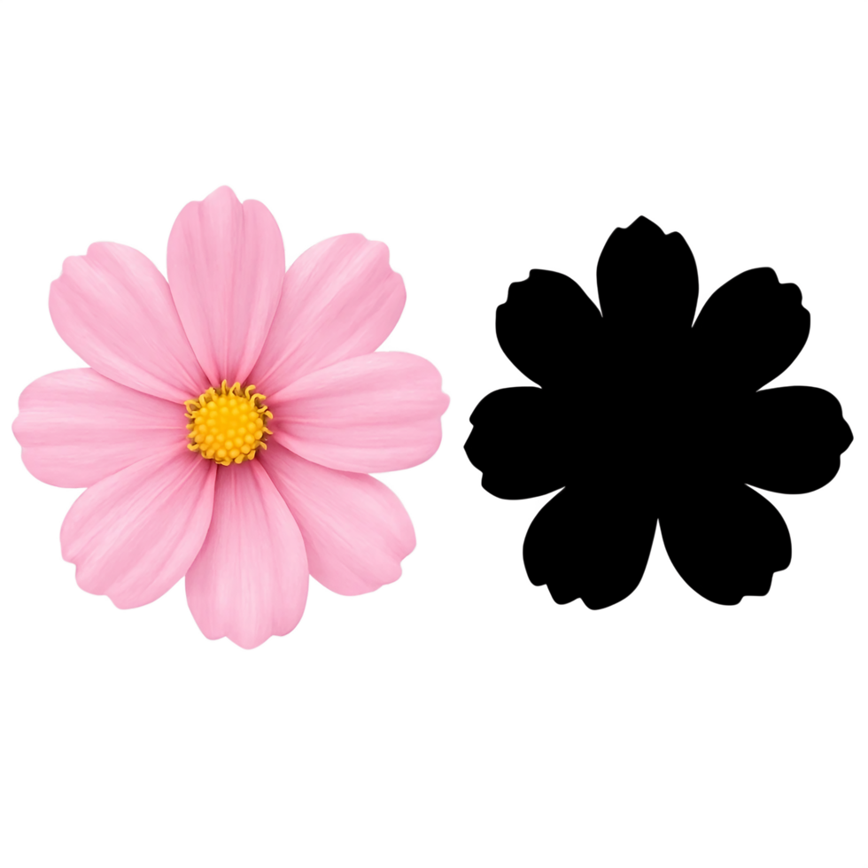 pink cosmos flower clipart featuring delicate png