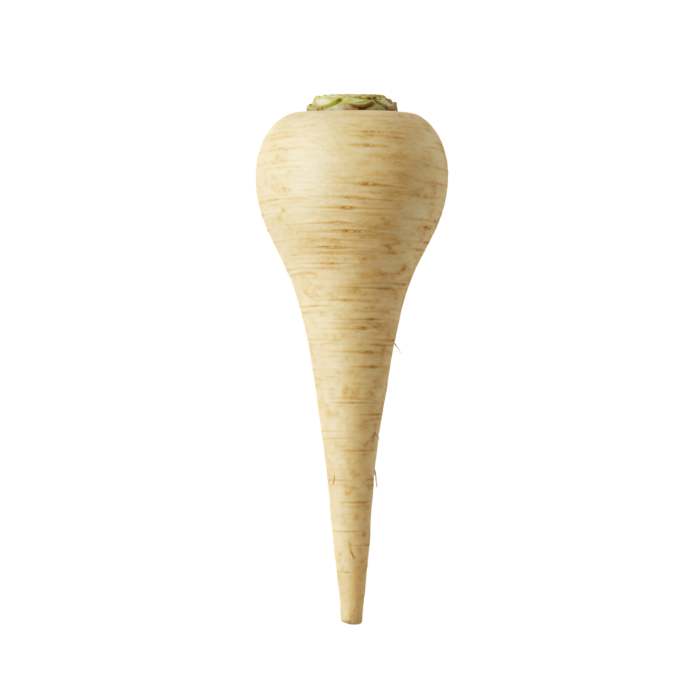 Single Parsnip on Transparent Background png