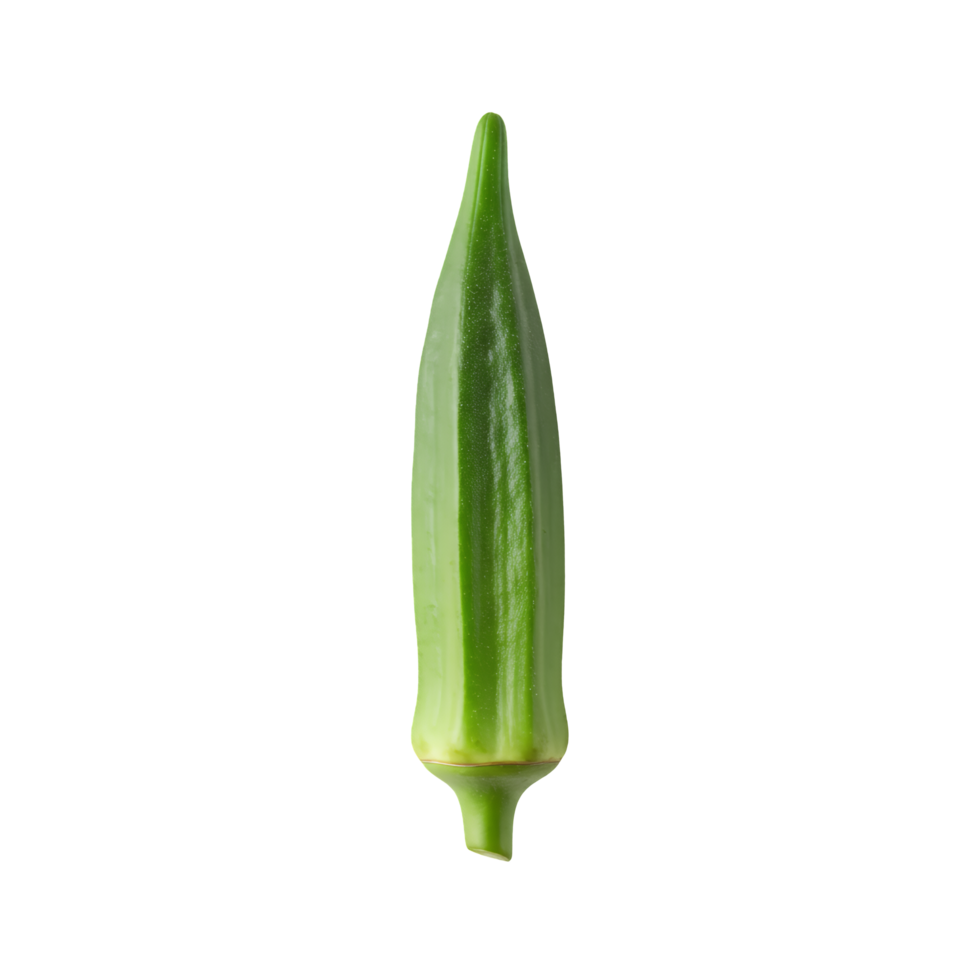 Single Fresh Green Okra Vegetable on Transparent Background png