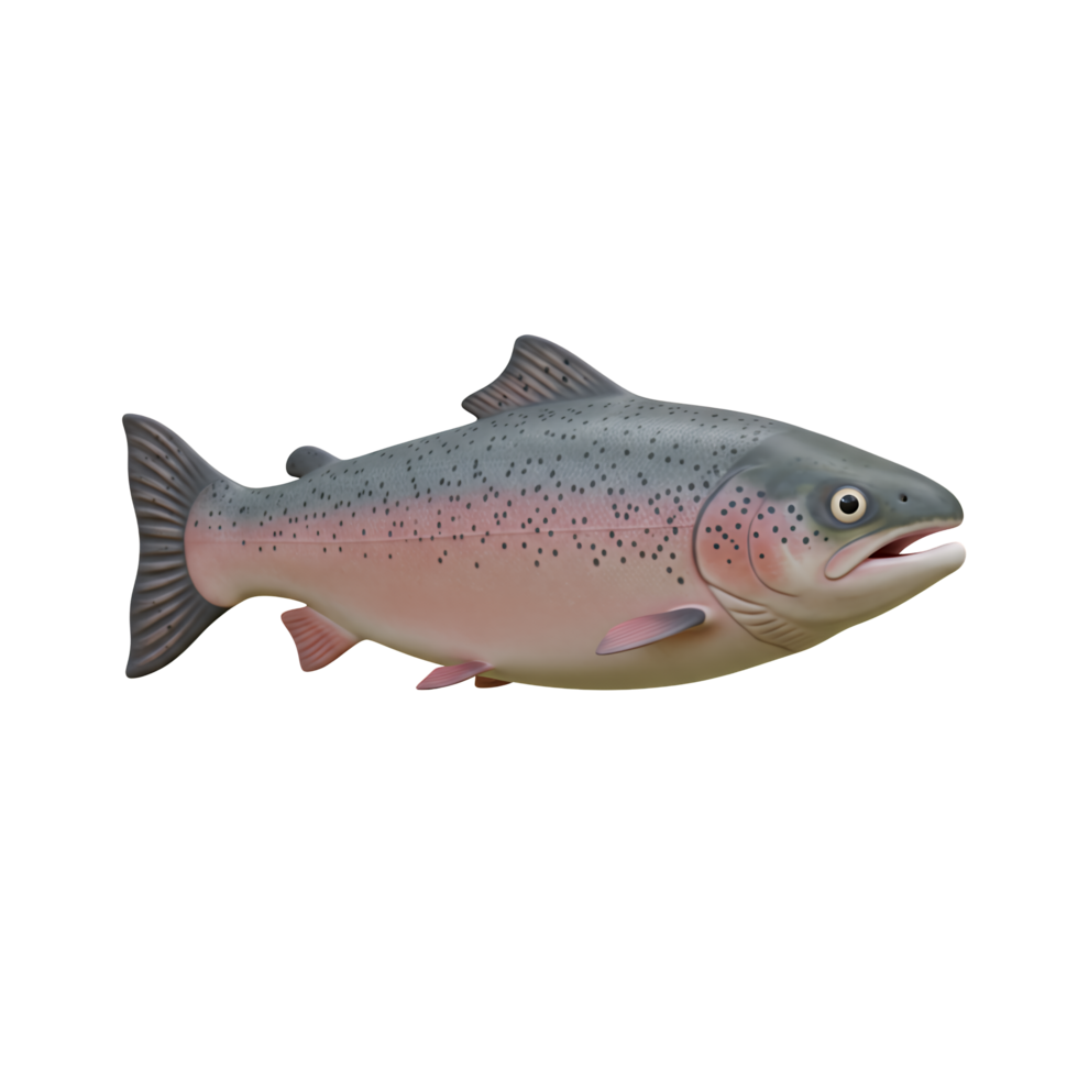 3D Render of a Swimming Salmon on Transparent Background png