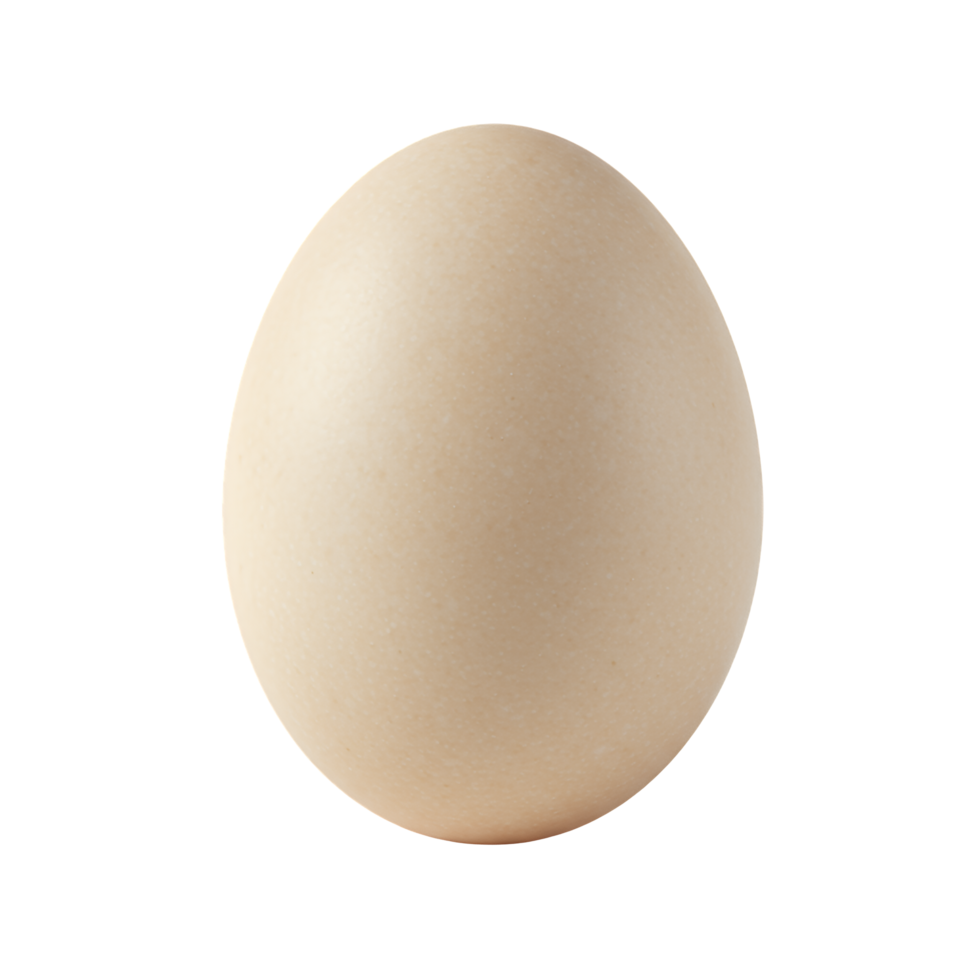 Single Beige Egg Isolated on Transparent Background png