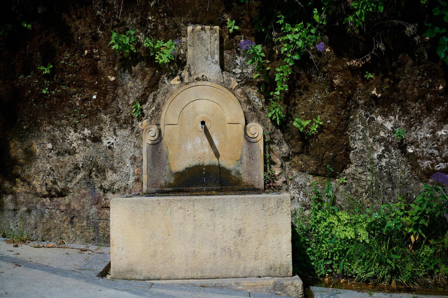 Antique Stone Fountain Surrounded by Verdant Greenery in a Rustic Setting photo