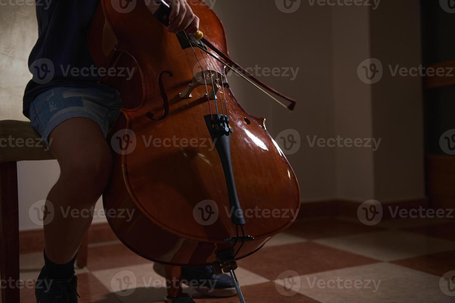 A person engaged in a musical performance, seated and playing a cello. The scene captures intimacy and passion for music in a serene environment. photo