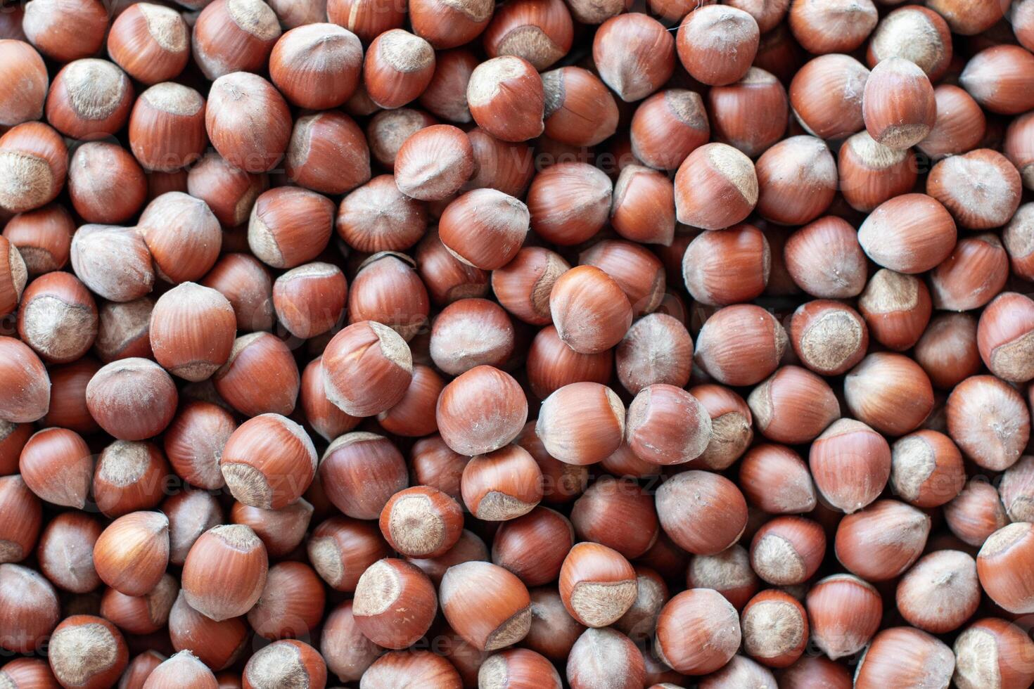 Close-up, many hazelnuts scattered across the surface create a textured food background to showcase food concepts such as healthy eating, snacking, and large harvest photo