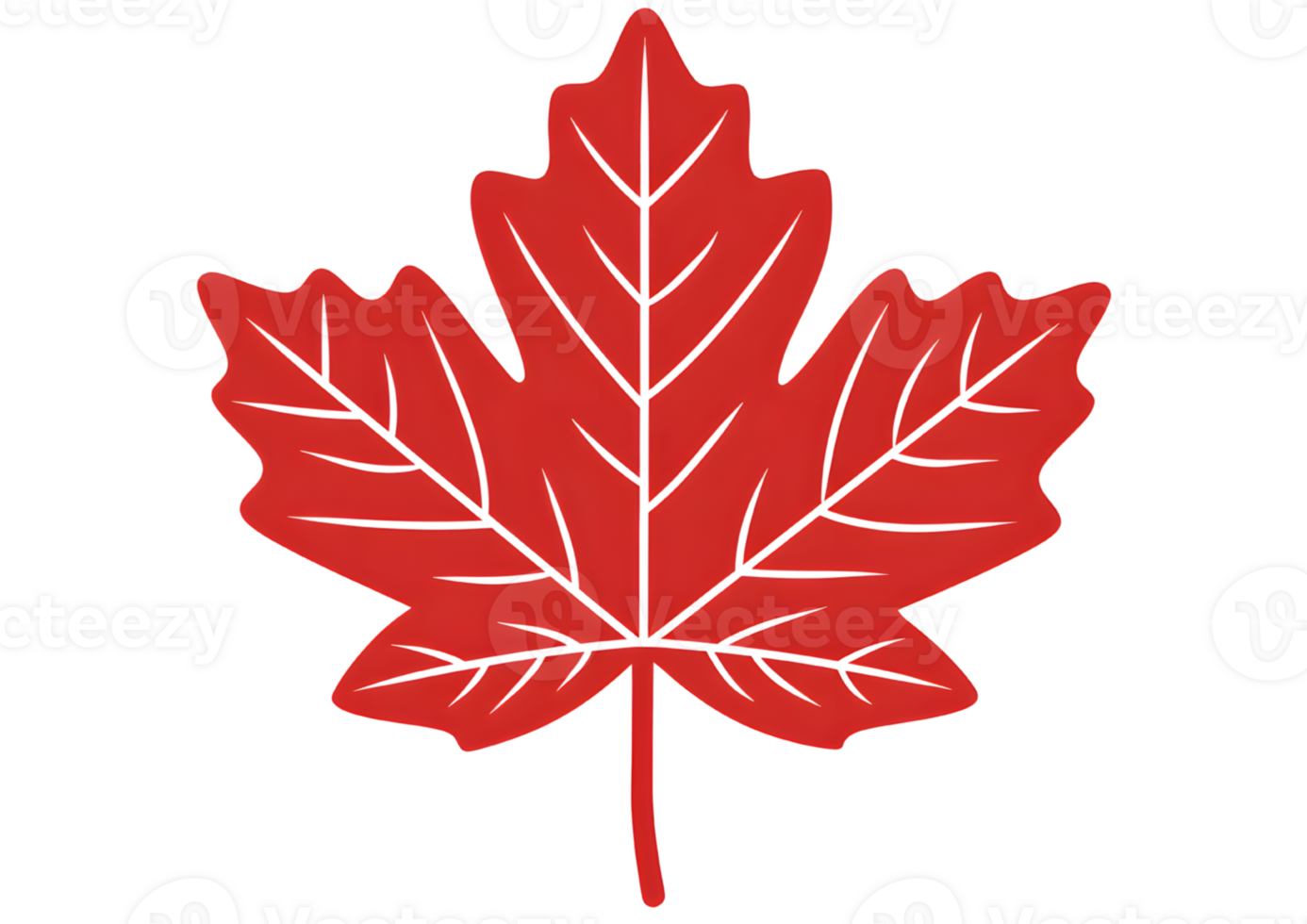 Stylized single red maple leaf icon with a transparent background in format. png