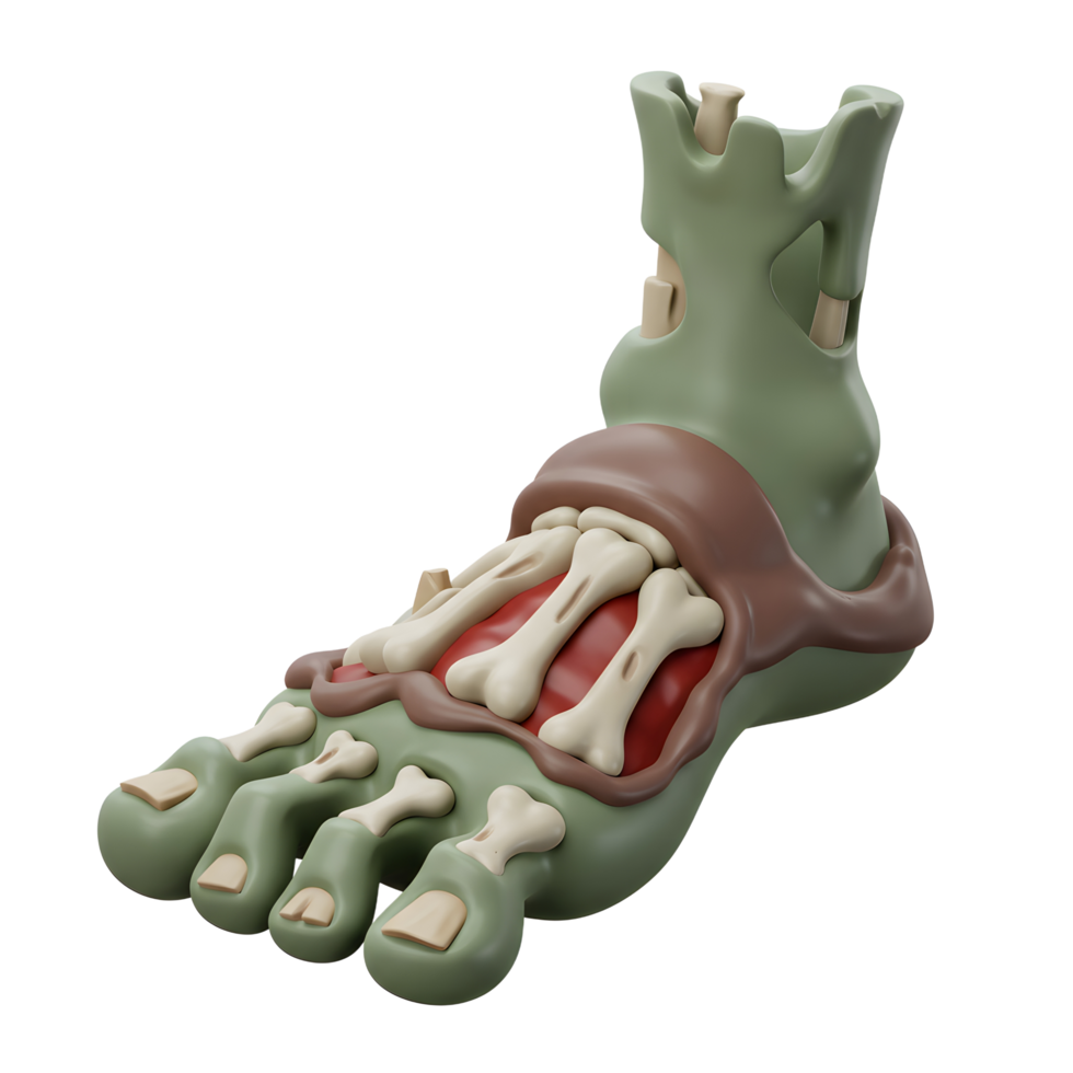 Cartoon zombie foot shows the bone structure with green skin and exposed bones, useful for Halloween themed designs. png