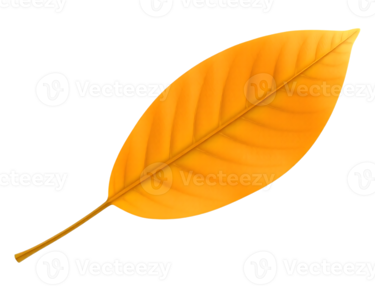 Realistic Illustration of a Single Golden Autumn Leaf png