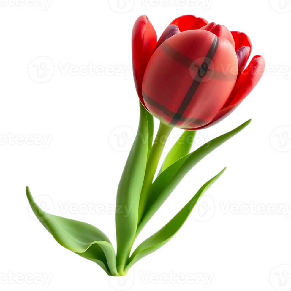 Red Tulip with Plaid Pattern in Realistic 3D Rendering png