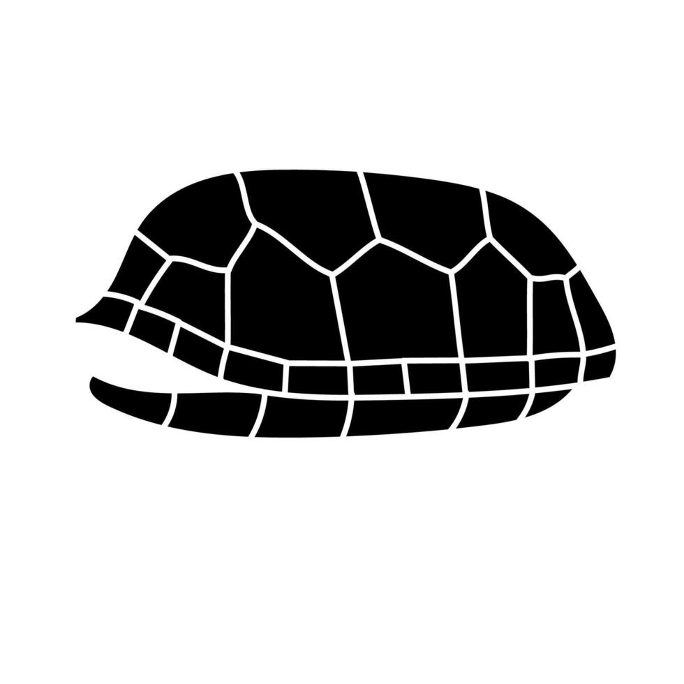Tortoise shell black hand drawn icon vector