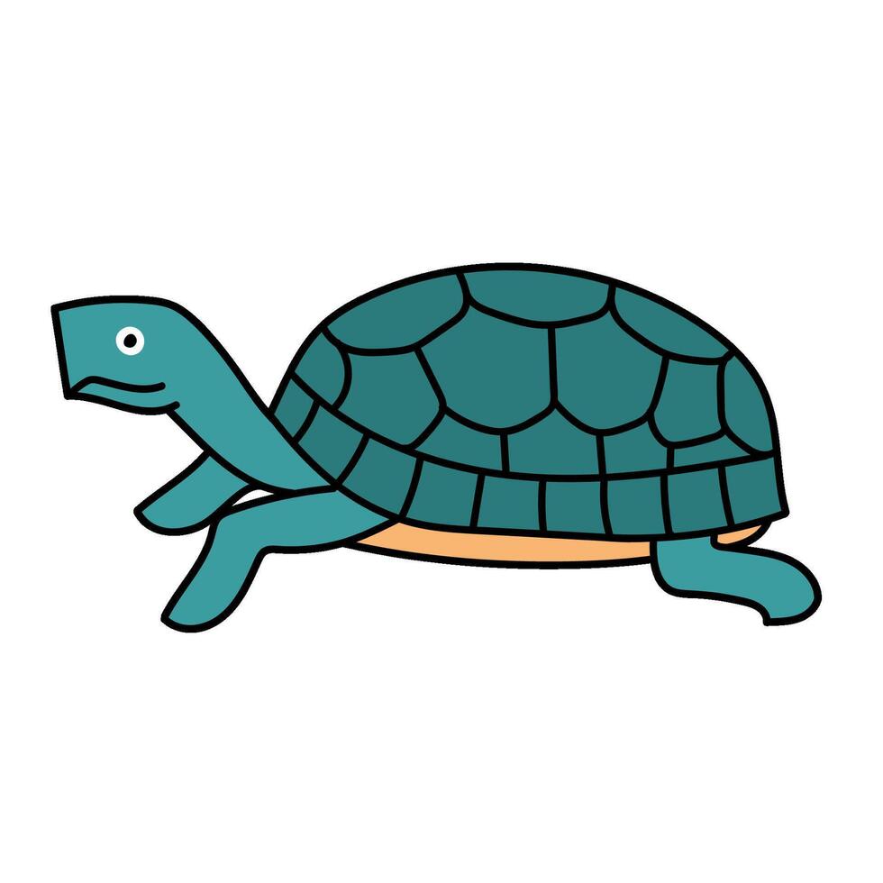 tortoise animal reptile pet hand drawn color illustration vector