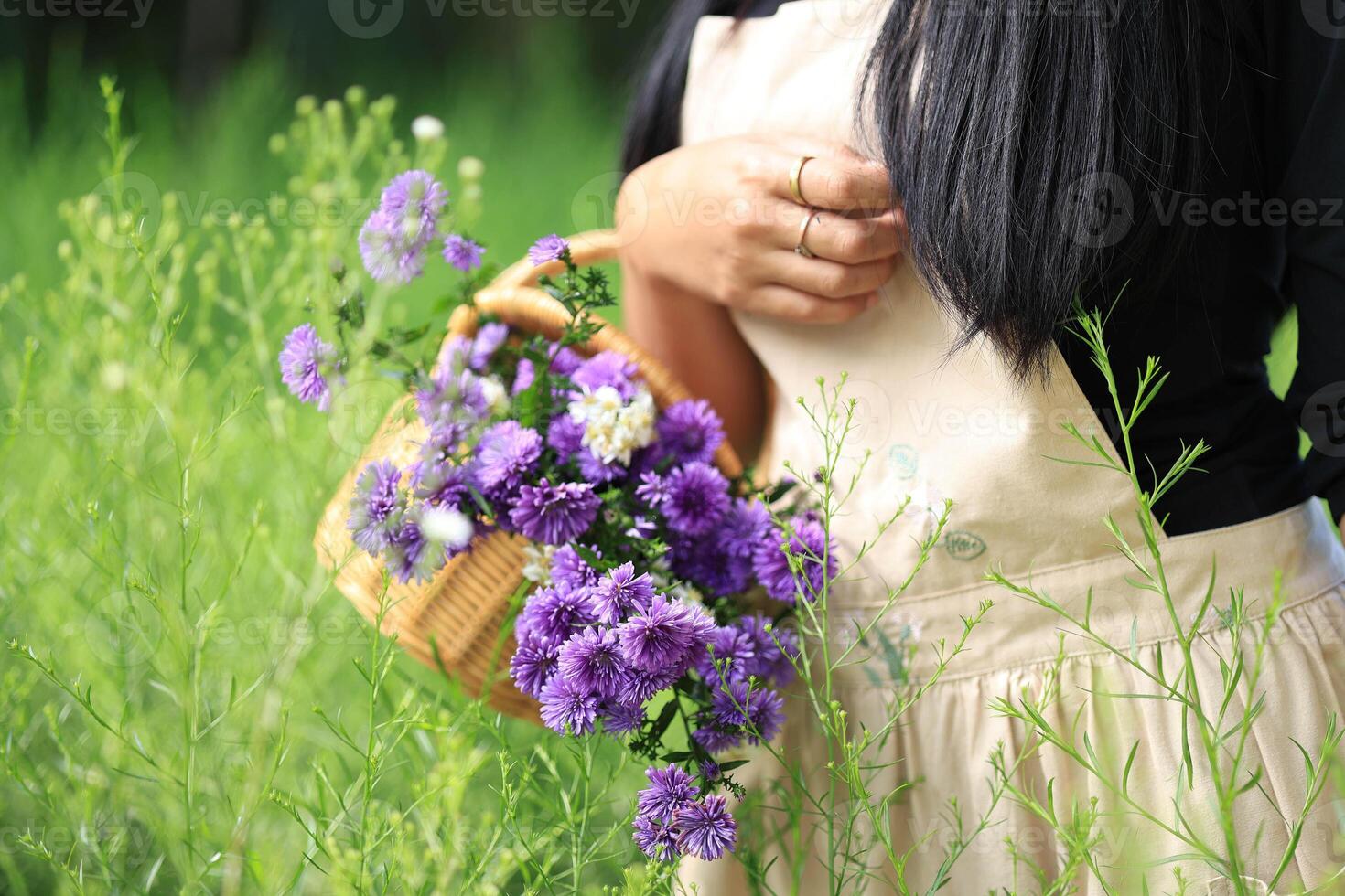 Young Female Hand Holding Rattan Basket with Purple Aster Flower photo