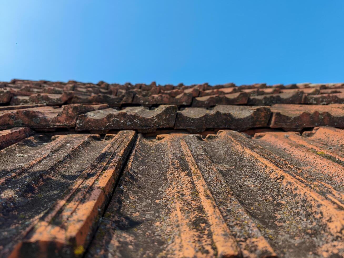 The roof of a building is covered in brown tiles. The tiles are dirty and the roof is slanted. The sky is blue and clear photo