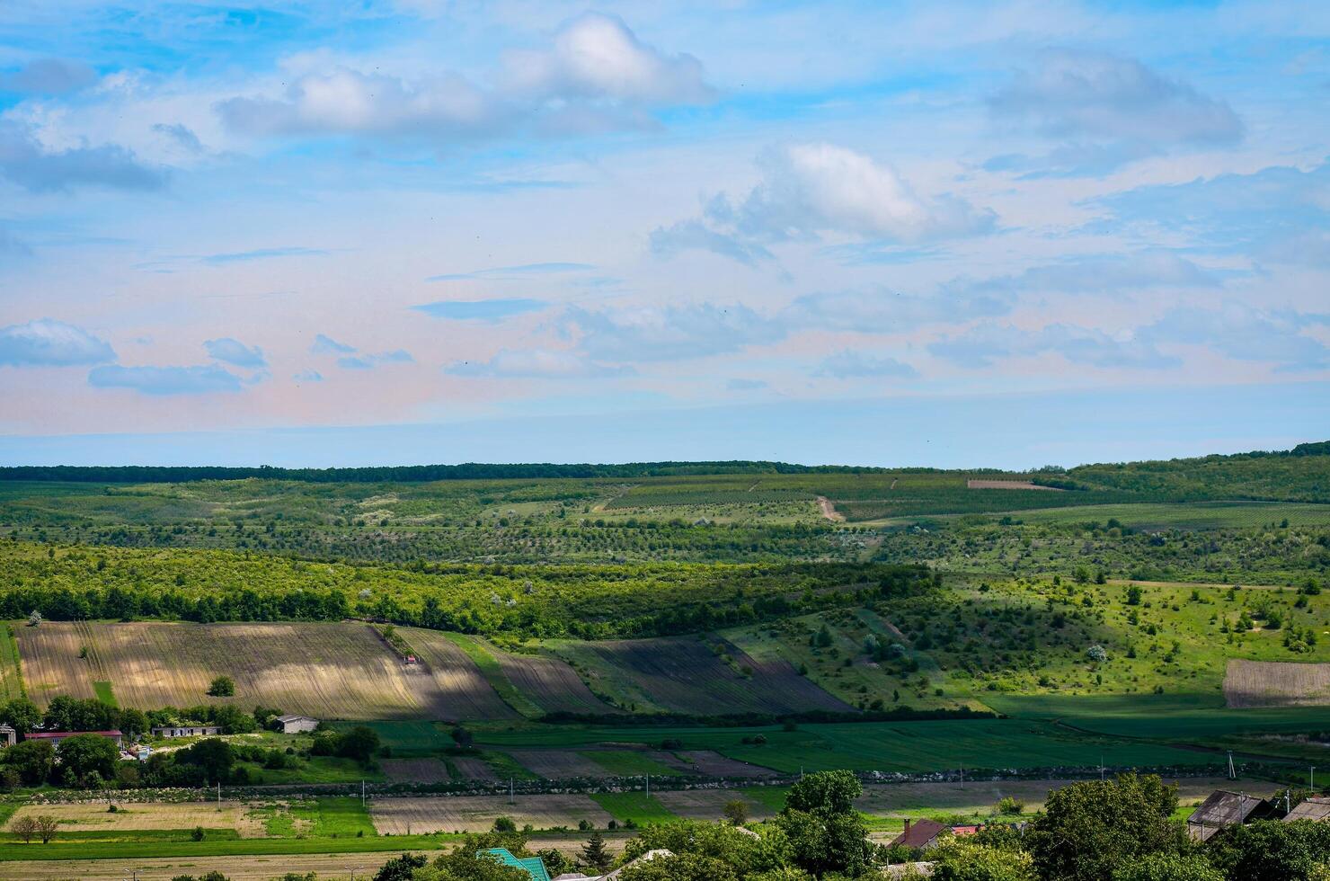 A large, open field with a few trees and a house in the distance. The sky is mostly clear with a few clouds scattered throughout. Scene is peaceful and serene, with the vast expanse of land photo