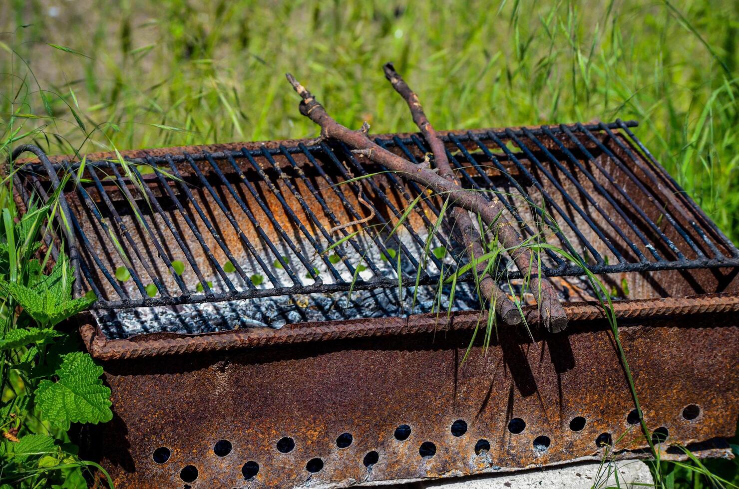 A rusty grill with a few sticks on it. The grill is on a grassy area. The sticks are on the grill and are not burning photo