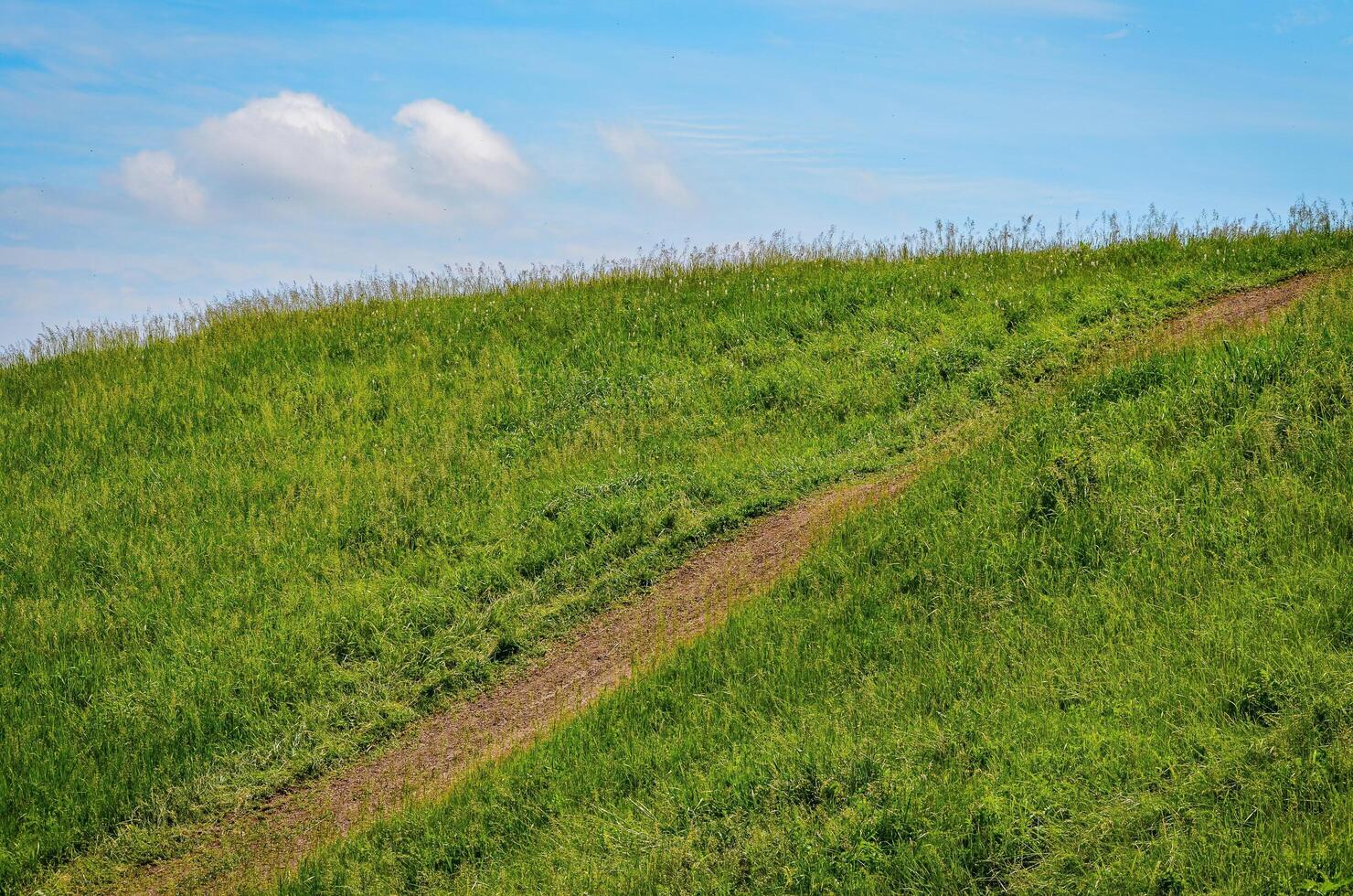 A grassy hill with a dirt path leading down it. The sky is clear and blue photo