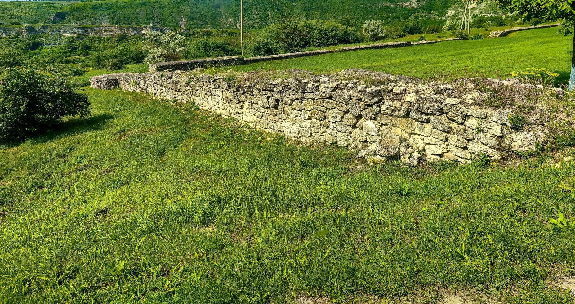 A grassy field with a stone wall in the background. The field is lush and green, and the stone wall adds a sense of structure and permanence to the scene photo