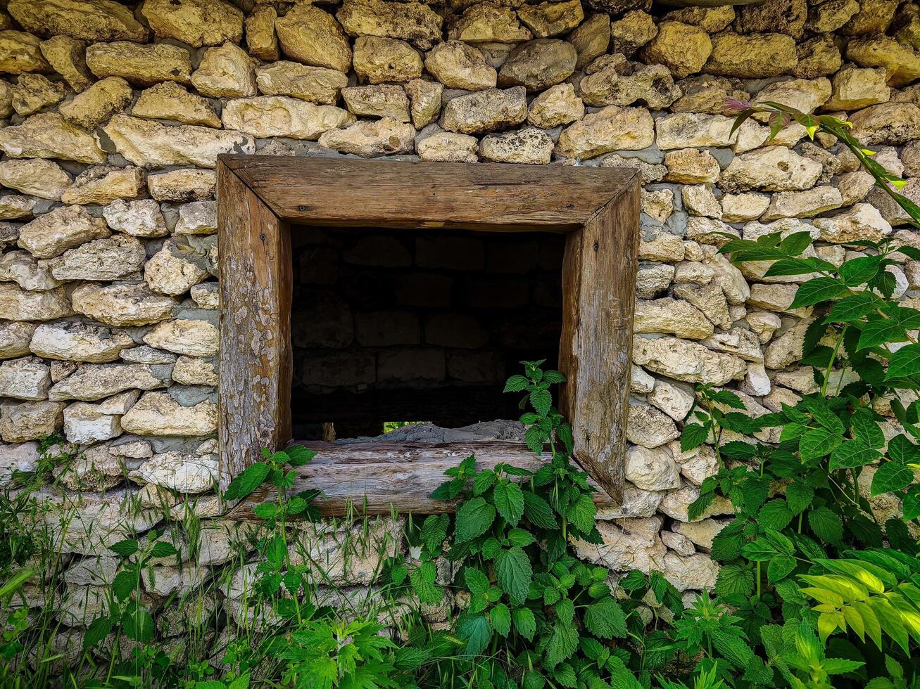 A small window in a stone building is open, allowing green plants to grow out of the stone wall. The plants are thriving in the sunlight that streams through the window, creating a peaceful photo