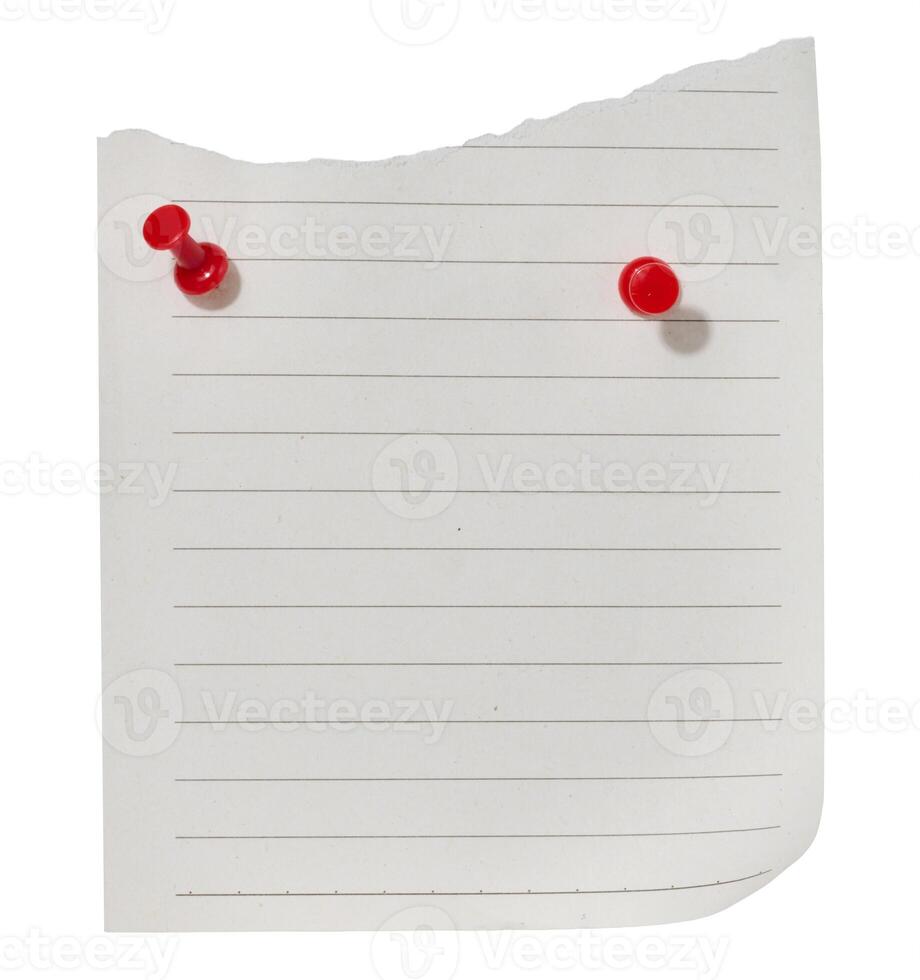 Sheet of white lined paper attached with a red pushpin with a ragged edge at the bottom, isolated background photo