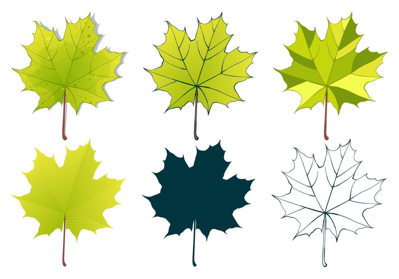 Hand-drawn green maple leaves collection isolated on white background. Flat and line and textured illustration. vector