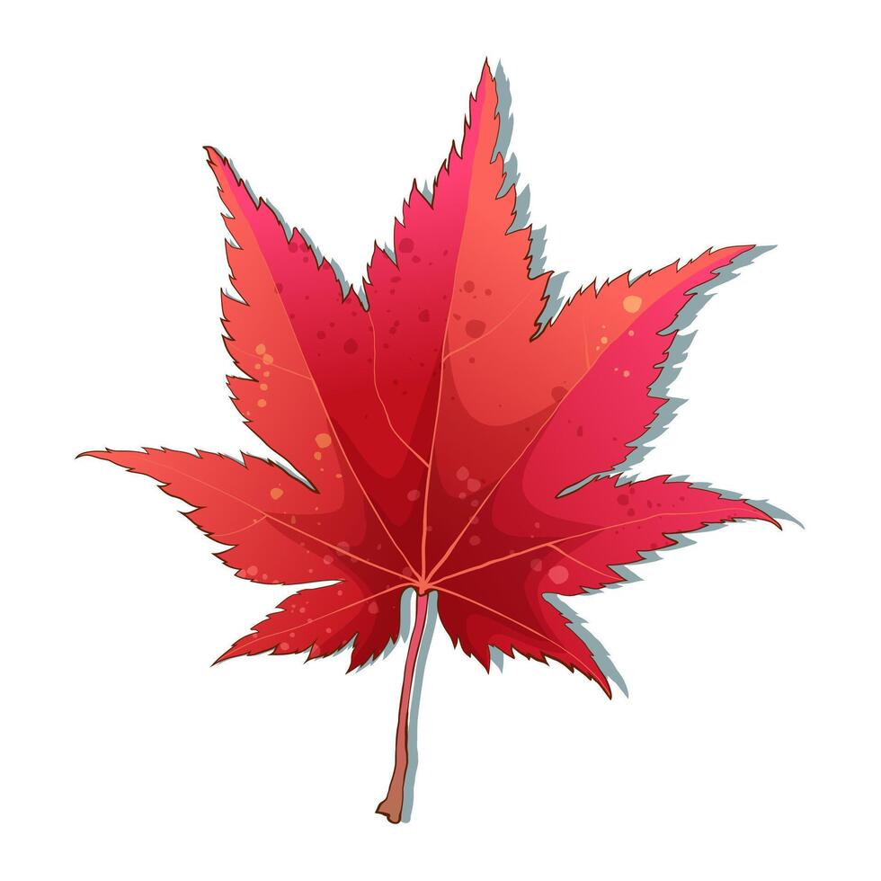 Hand-drawn autumn colored red maple fall leaf isolated on white background. Flat line style illustration. vector