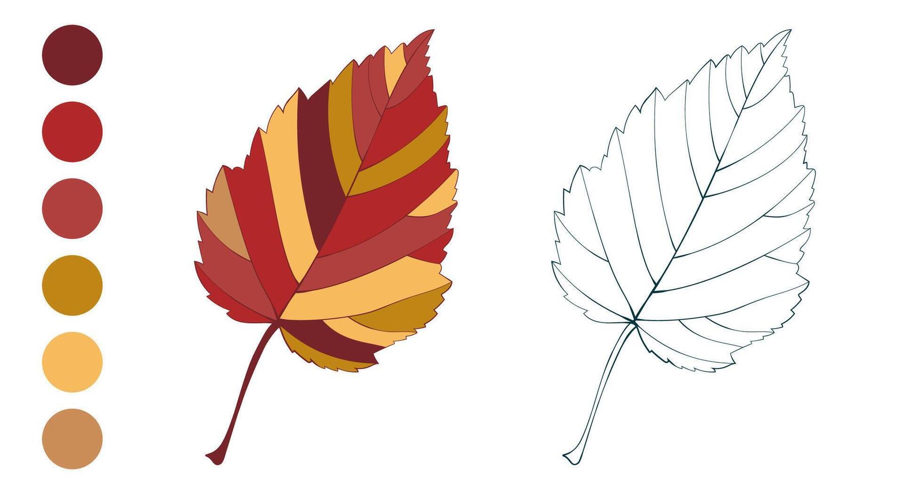 Hand-drawn autumn colored maple leaves and fall color palette isolated on white background. vector