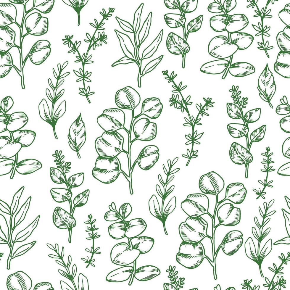 Seamless pattern of tropical green forest eucalyptus leaves. Sketch style illustration. vector