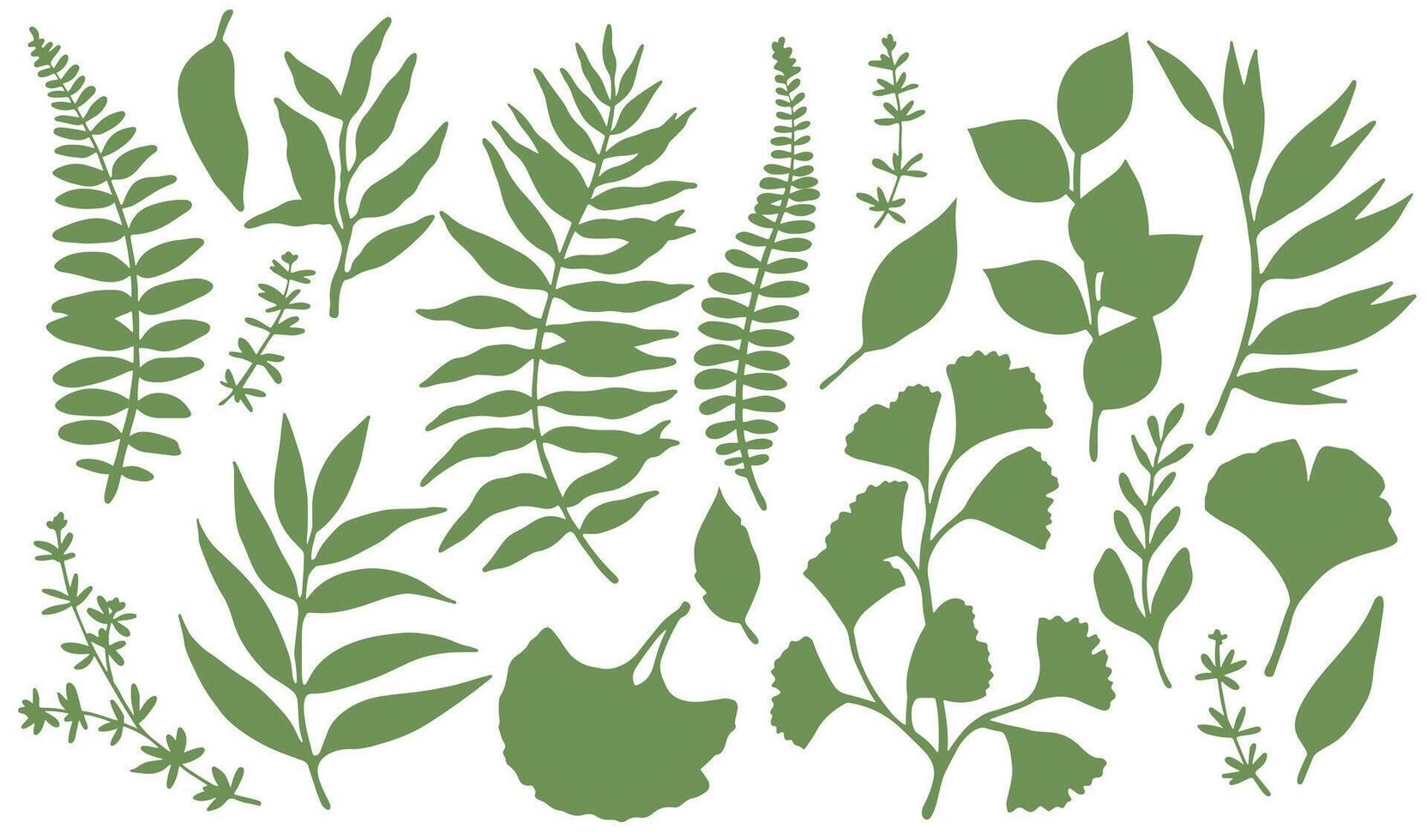 Set of green tropical forest leaves. Tropical leaves silhouettes. vector