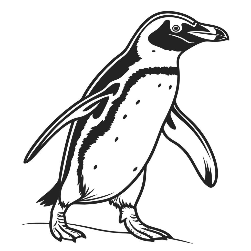 Black and white illustration of a walking penguin bird animal vector