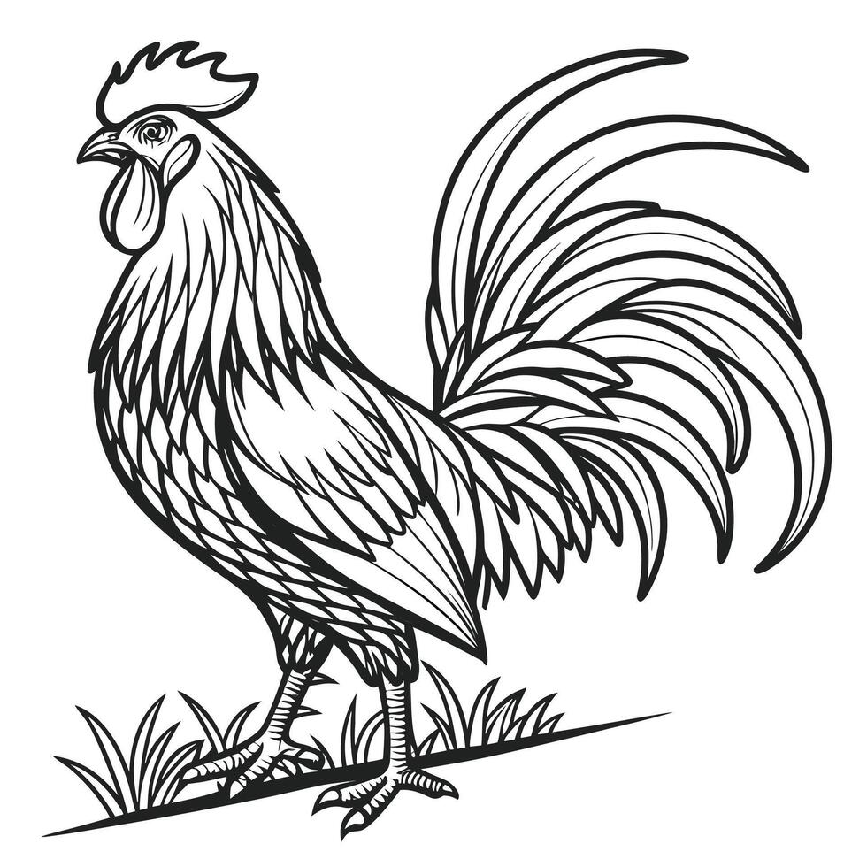 Majestic rooster standing in grass with flowing tail feathers chicken bird vector