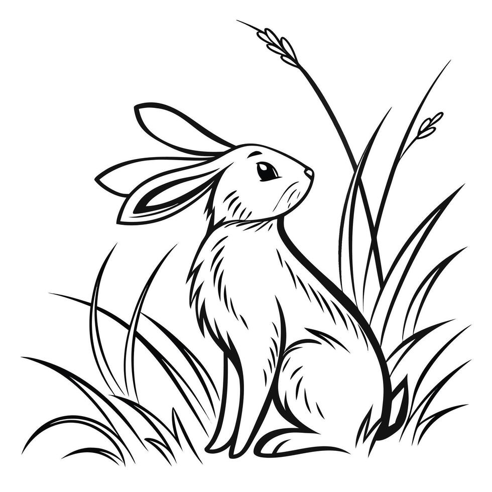 A rabbit sits in tall grass with ears alert bunny hare vector