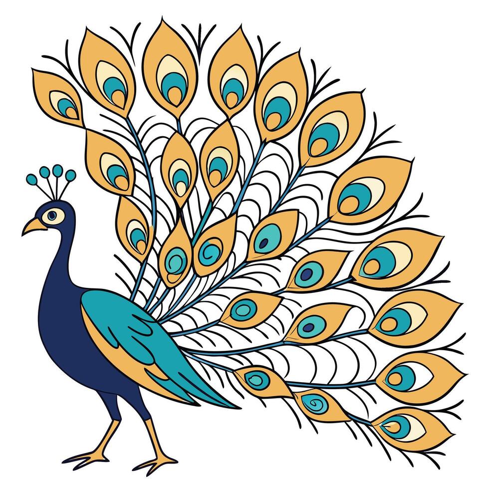Blue peacock displaying golden teal and cream tail feathers bird animal vector