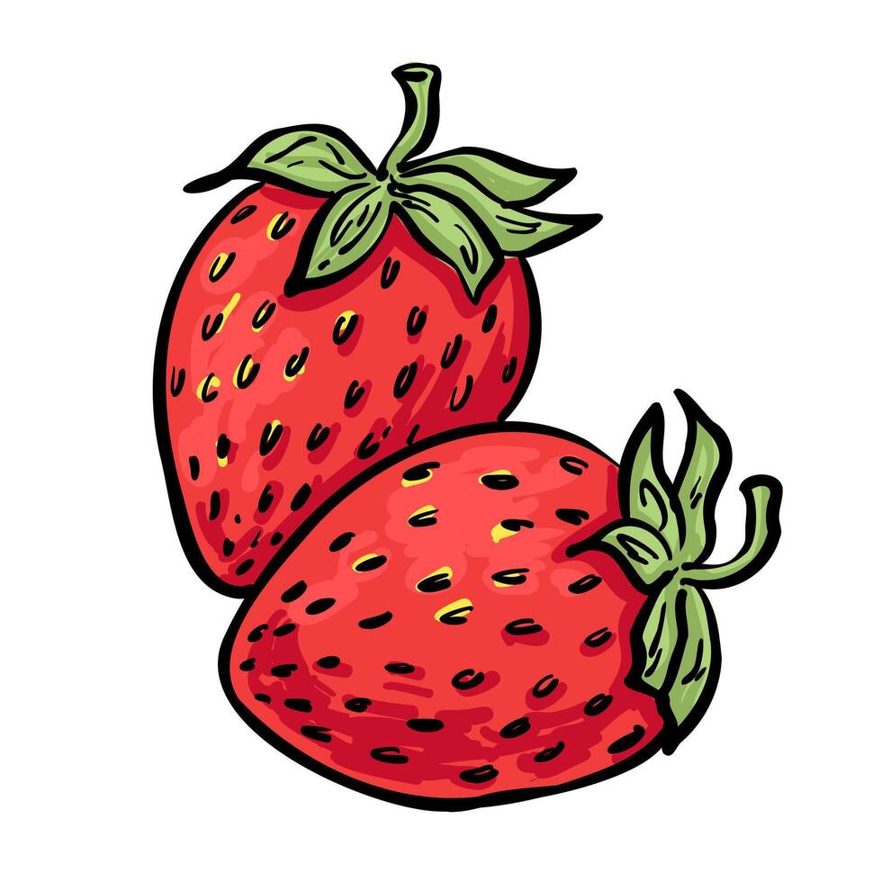 Juicy red strawberry duo with green tops. Hand-drawn clipart for food packaging, product labels, and summer designs. vector