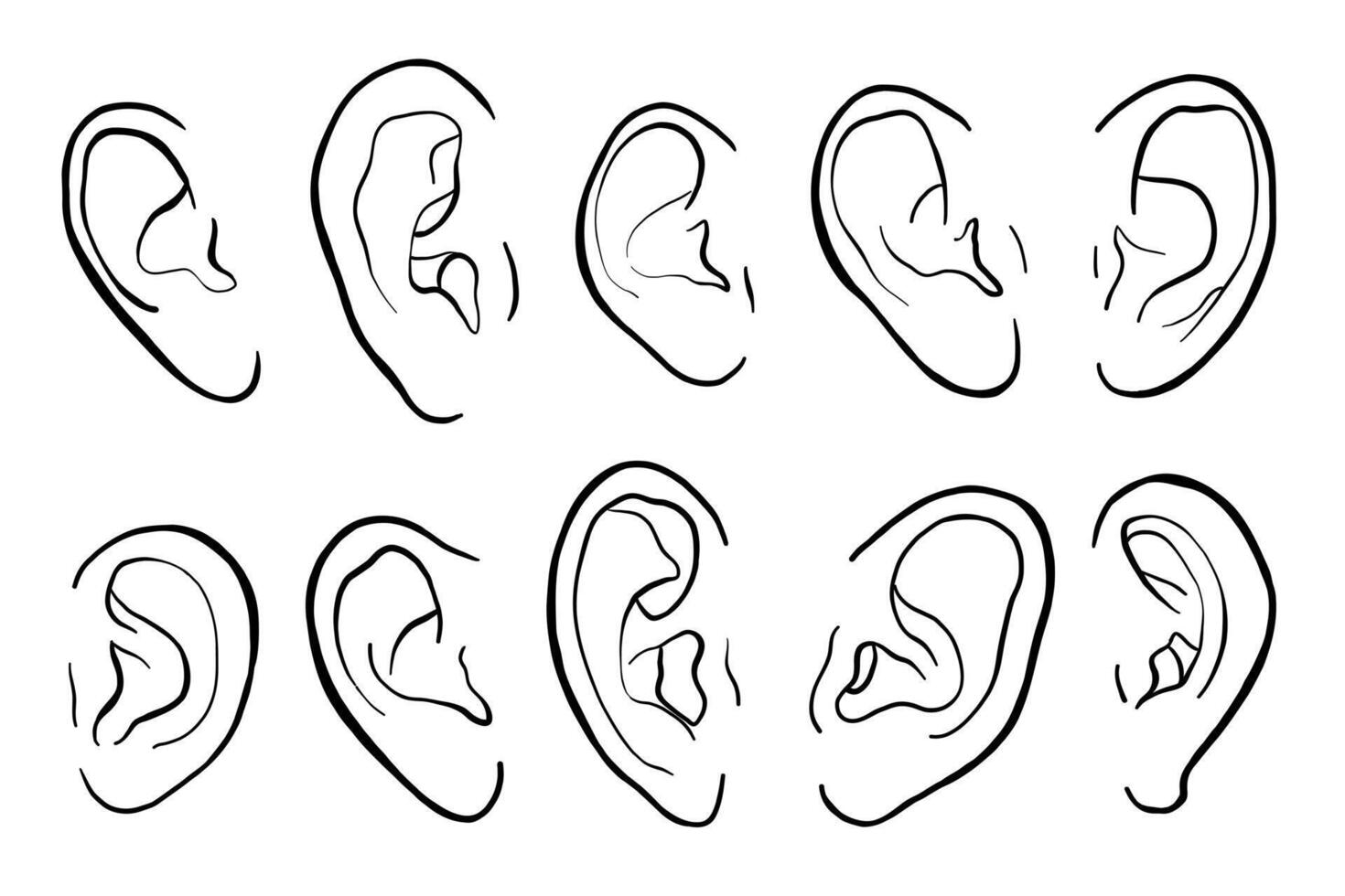 Human Ears Line Illustration Set vector