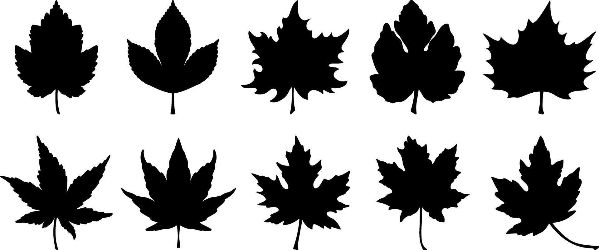 Doodle maple leaf set icon Stencil clipart collection vector