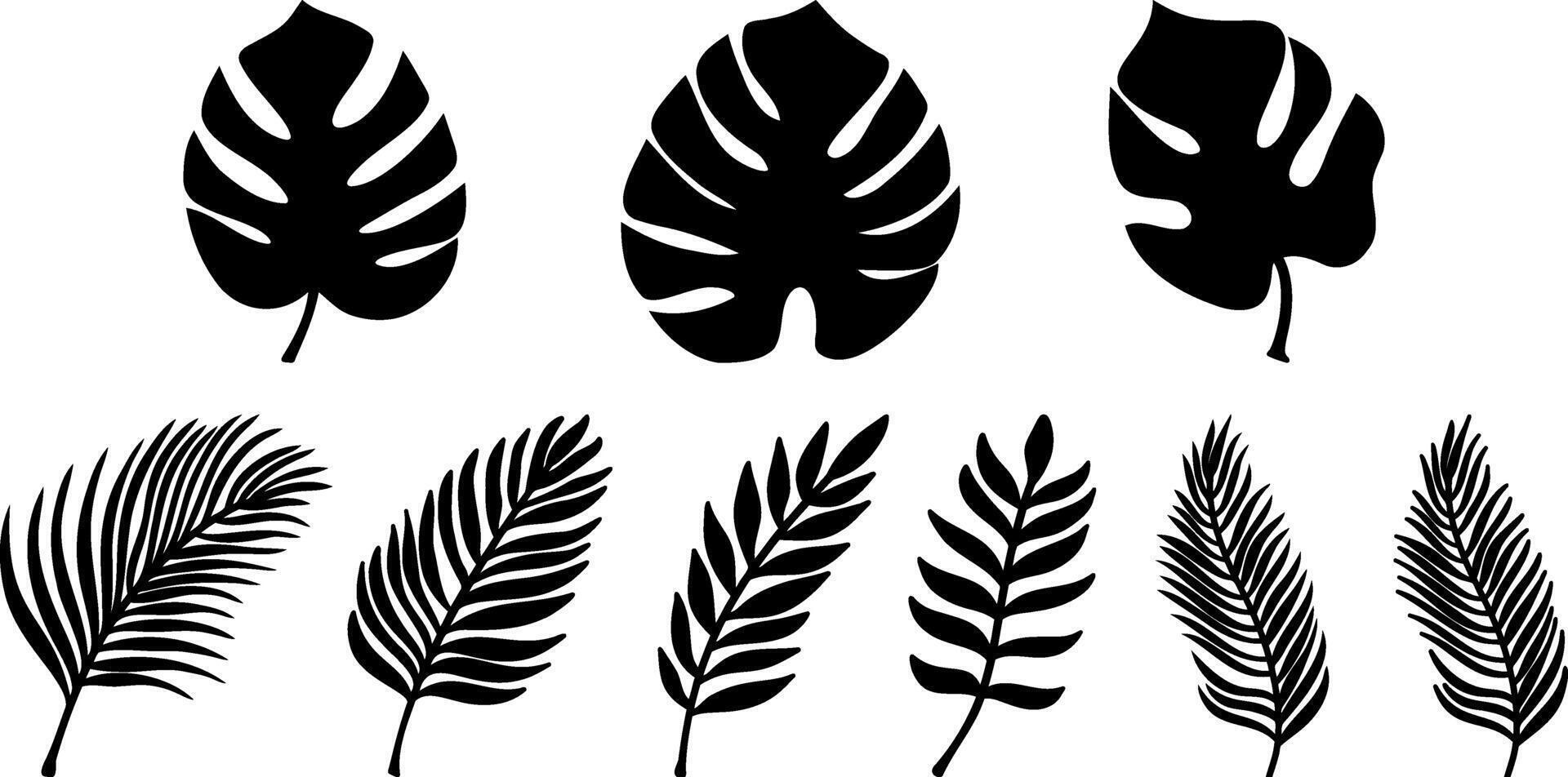 Doodle leaf icon collection isolated. Stencil clipart palm monstera vector